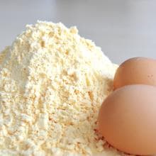 Egg Powder _ Egg white _ Egg Yolk